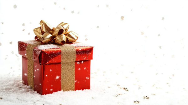 Christmas Gift 38-24A