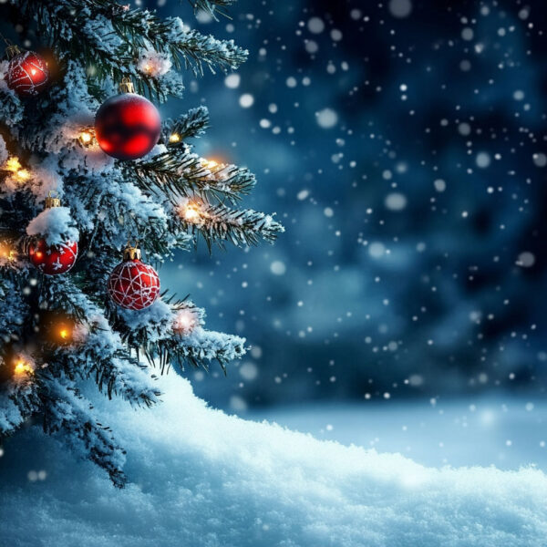 Christmas Background 51-24A