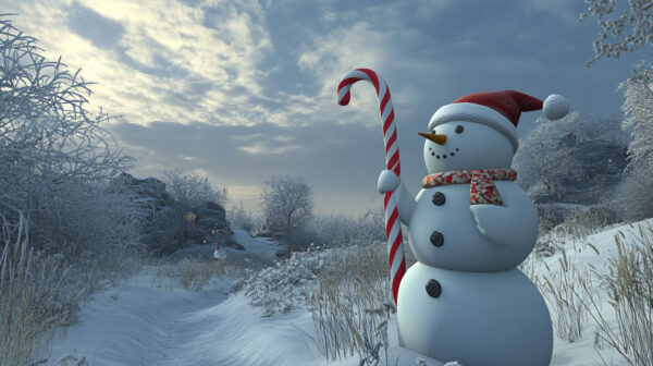 Snow Man  10-24A