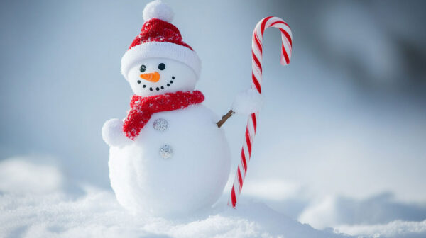 Snow Man 12-24A