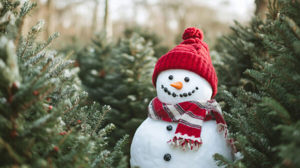 Snow Man 2-24A