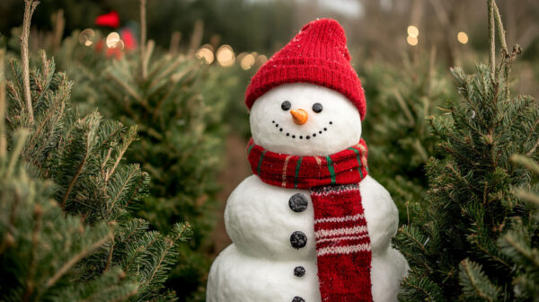 Snow Man 4-24A
