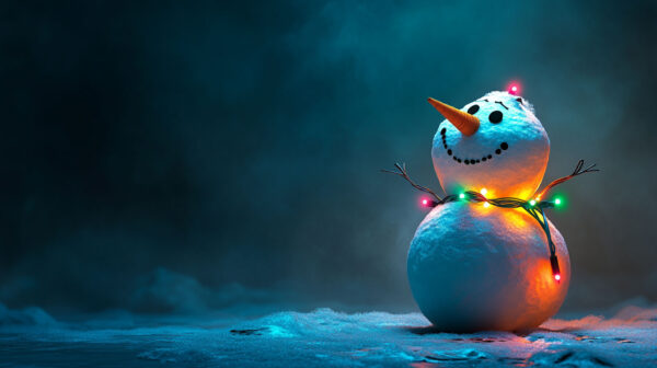 Snow Man 50-24A